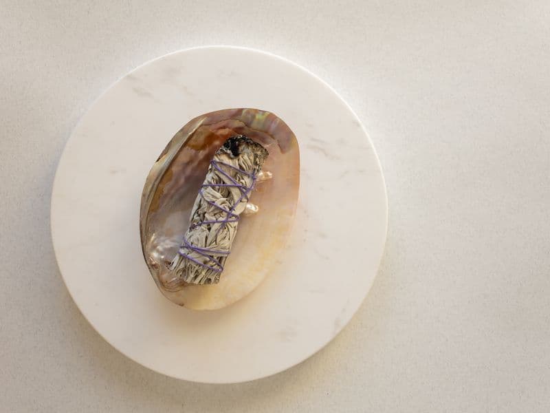Abalone, cooked
