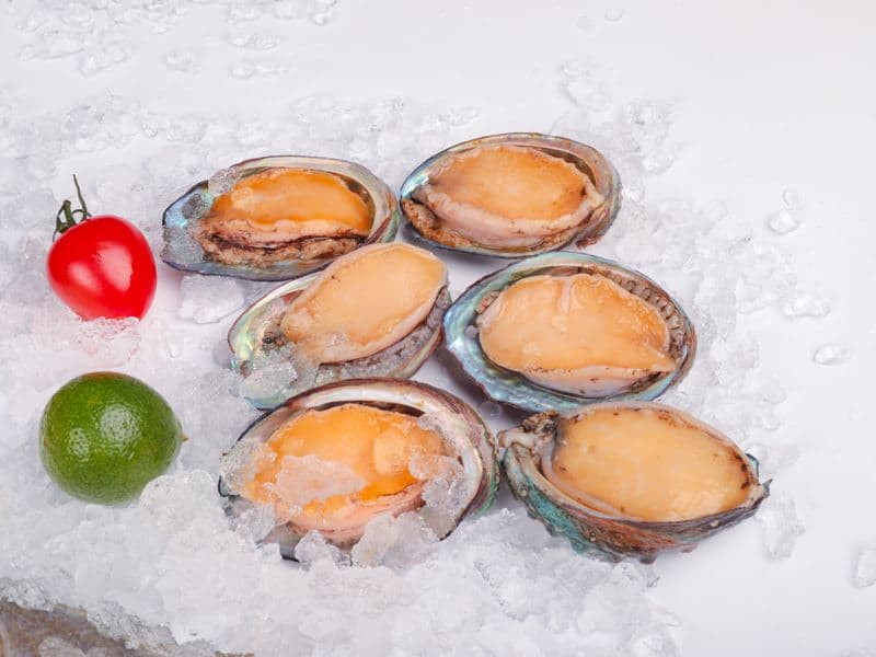 Abalone, raw