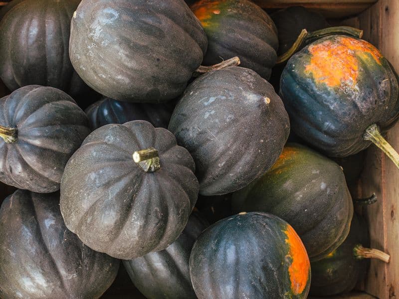 Acorn squash, cooked
