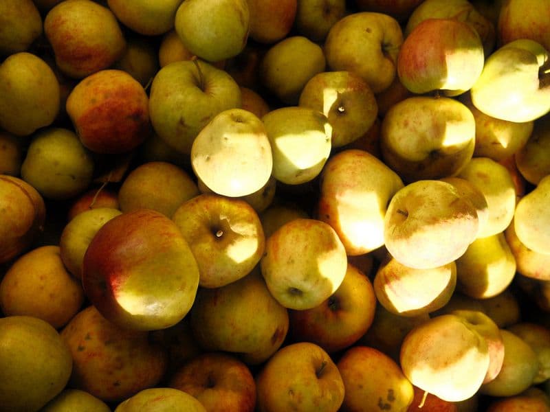 Apple, raw