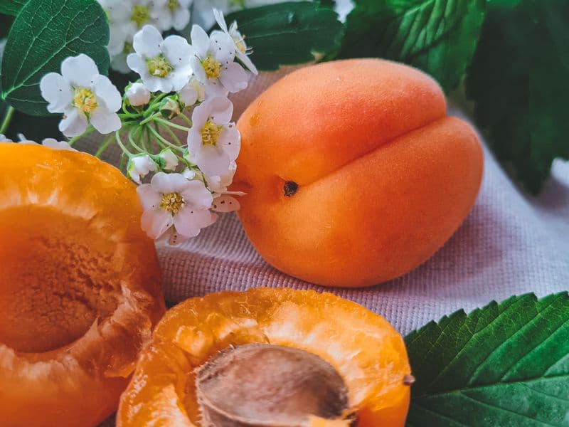 Apricot nectar