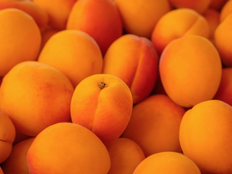 Apricot, raw