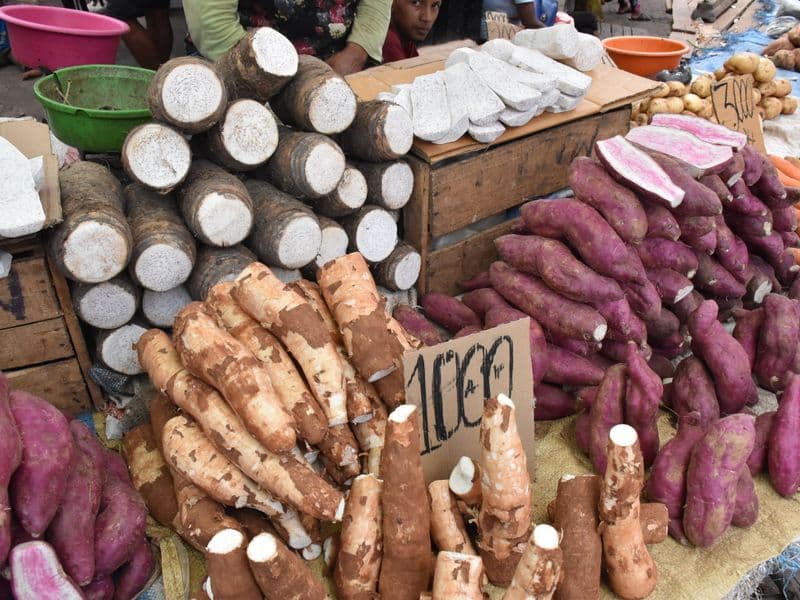 Arrowroot flour