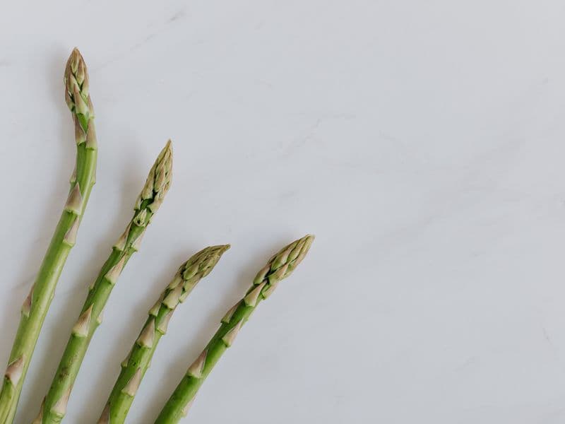 Asparagus, canned