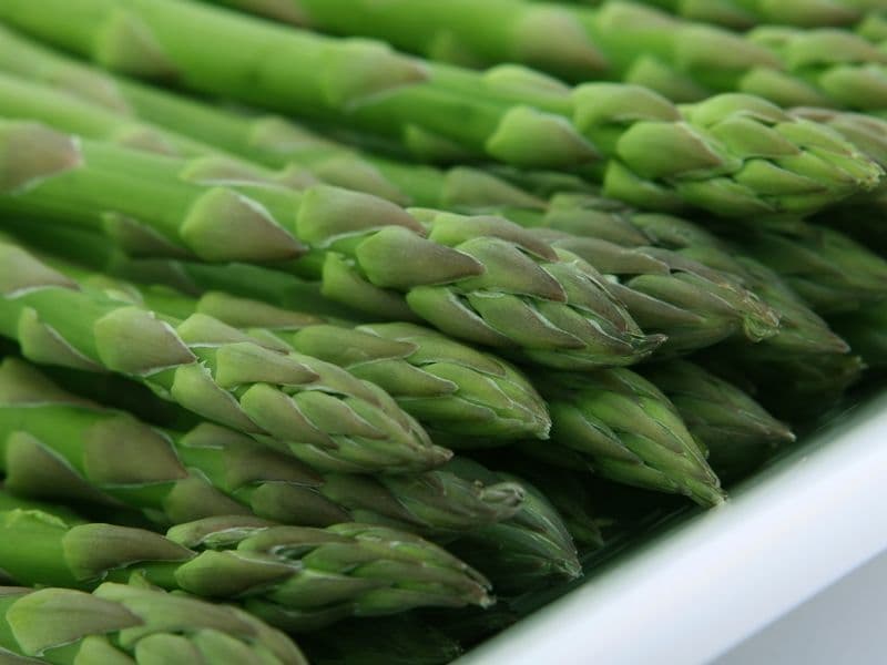 Asparagus, frozen, cooked
