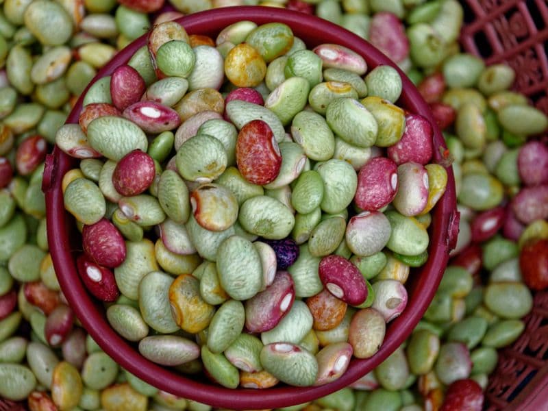 Baby lima beans, cooked
