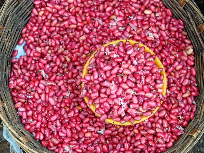 Baked beans, canned