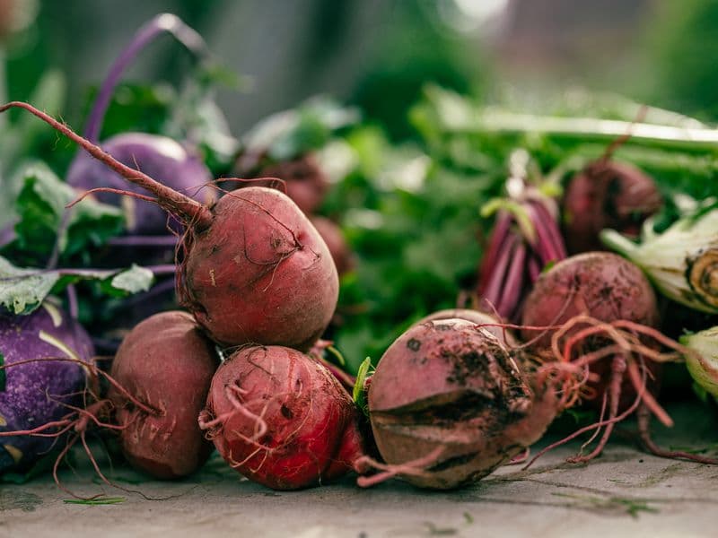 Beet greens, cooked