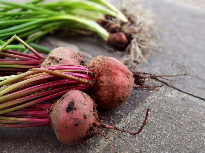 Beet greens, raw