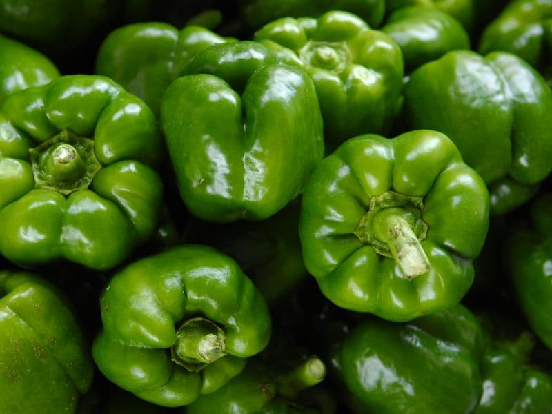 Green bell pepper, raw