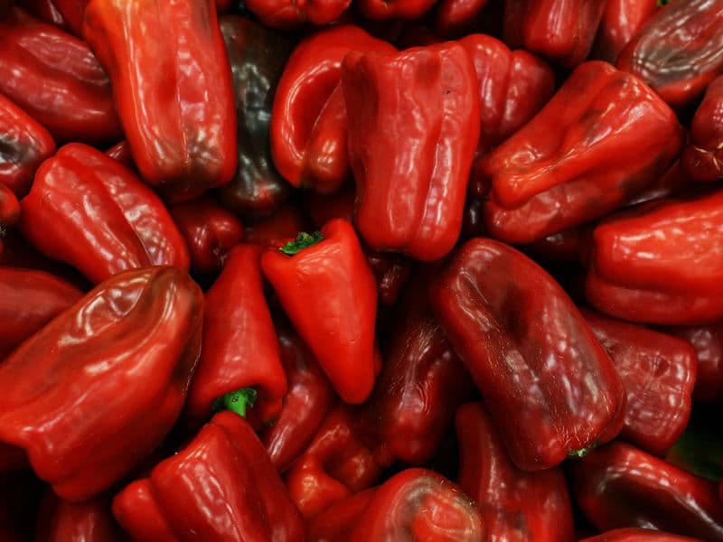 Red bell pepper, raw