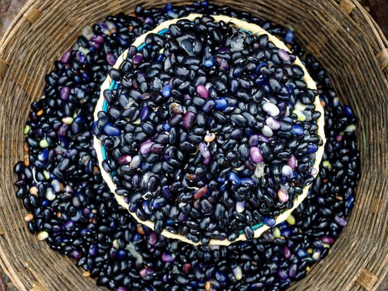 Black beans, cooked