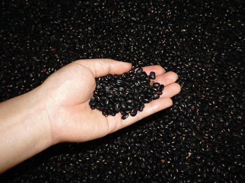 Black turtle beans, cooked