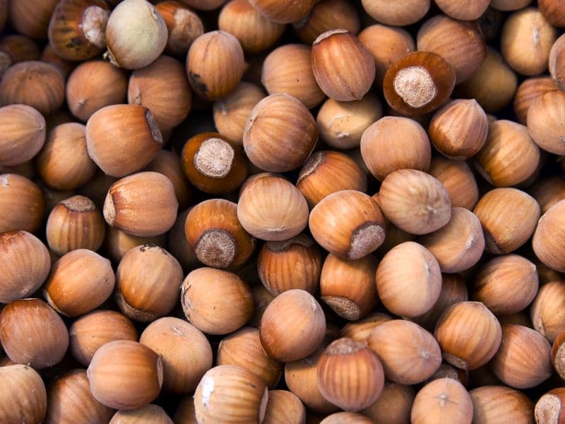 Hazelnuts, blanched