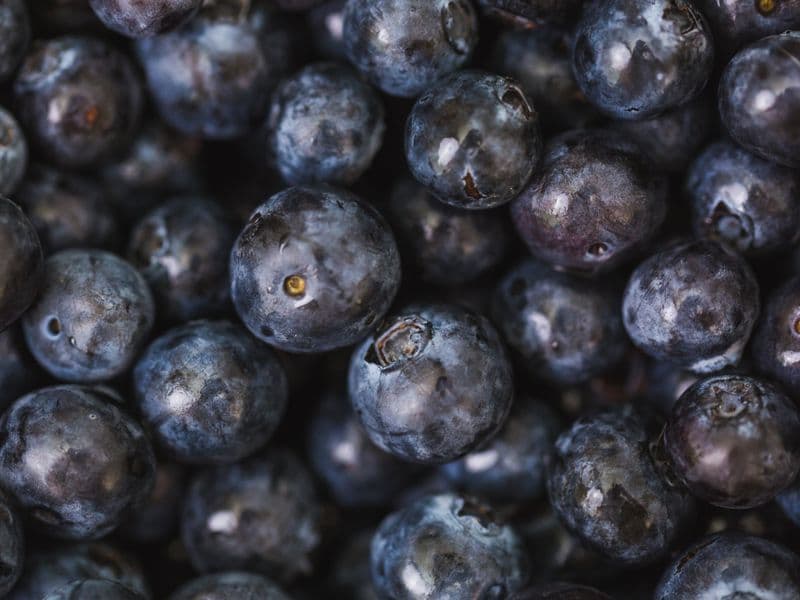 Blueberries, canned