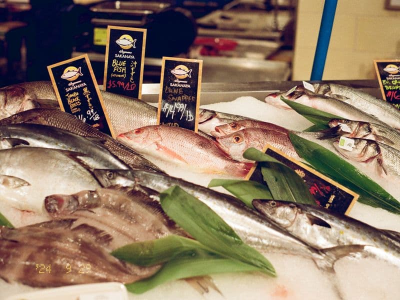 Bluefish, cooked