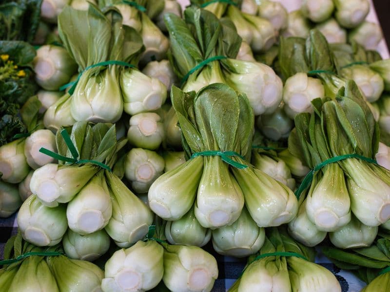 Bok choy, raw