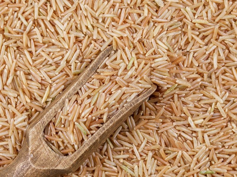 Brown rice, long-grain, cooked