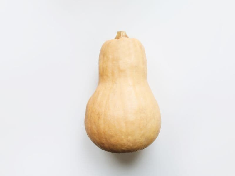 Butternut squash, cooked