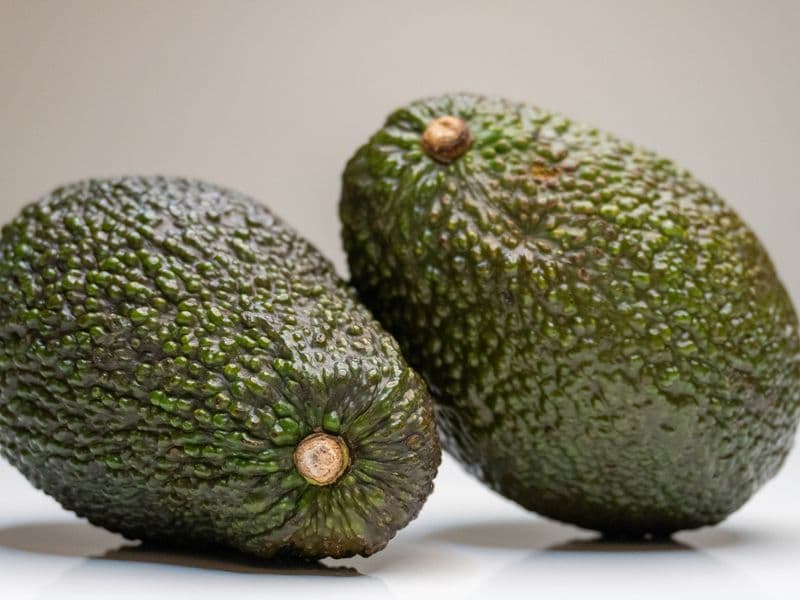 California avocado, raw