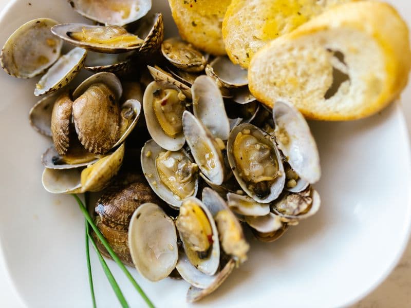 Clams, canned