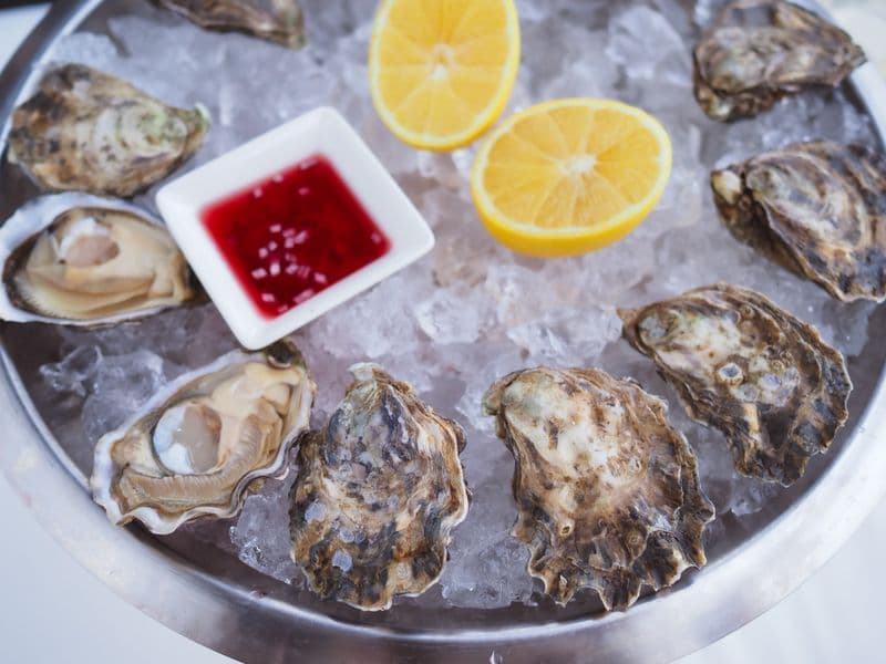 Oysters, canned
