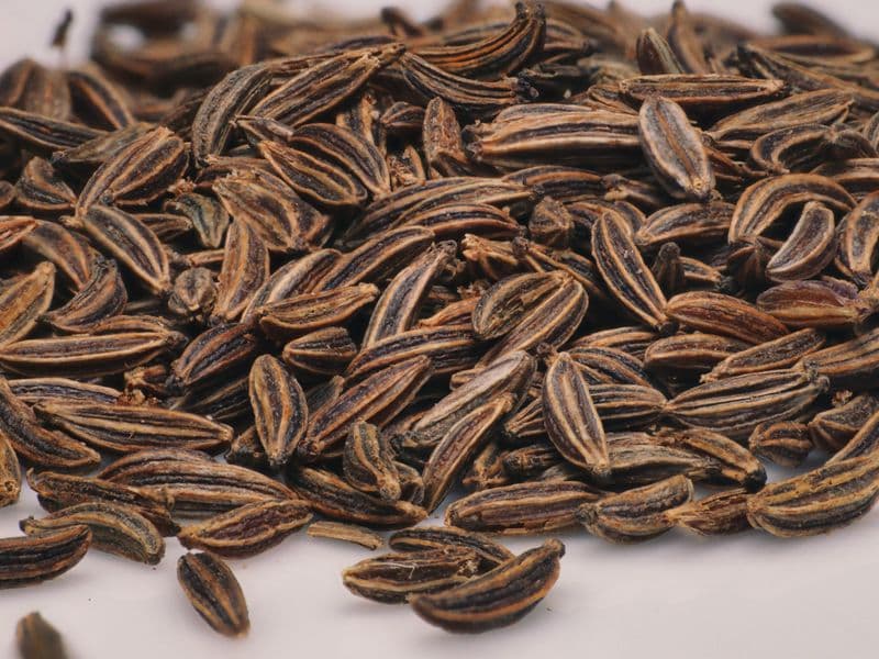 Caraway seed