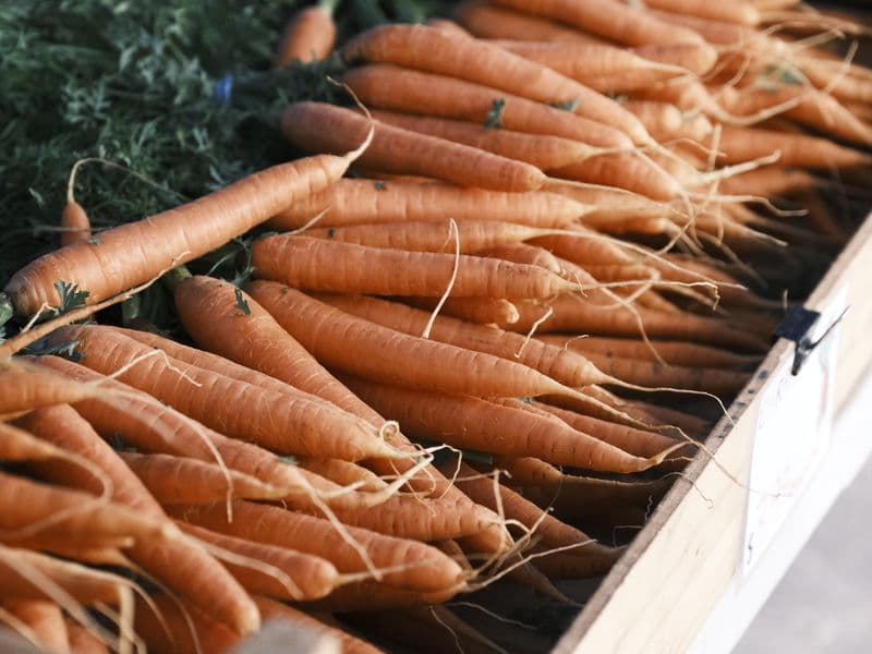 Carrots, raw