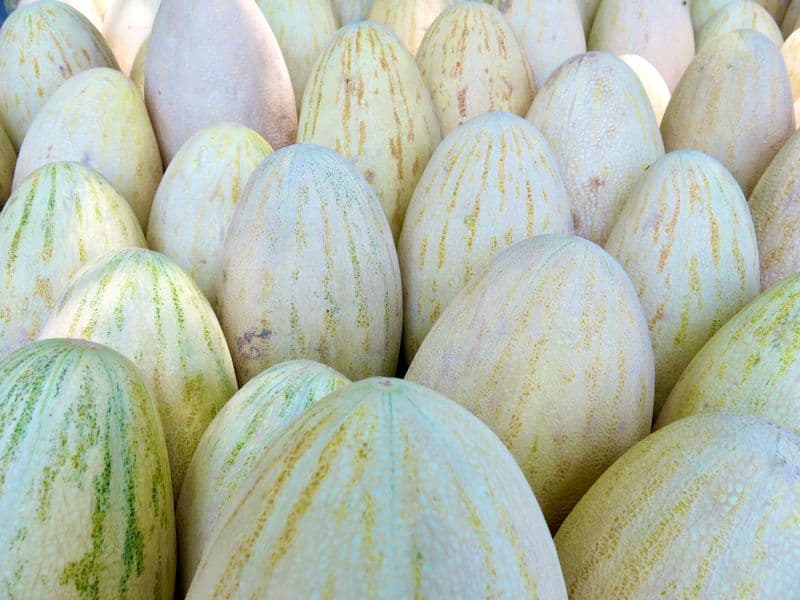 Casaba melon, raw