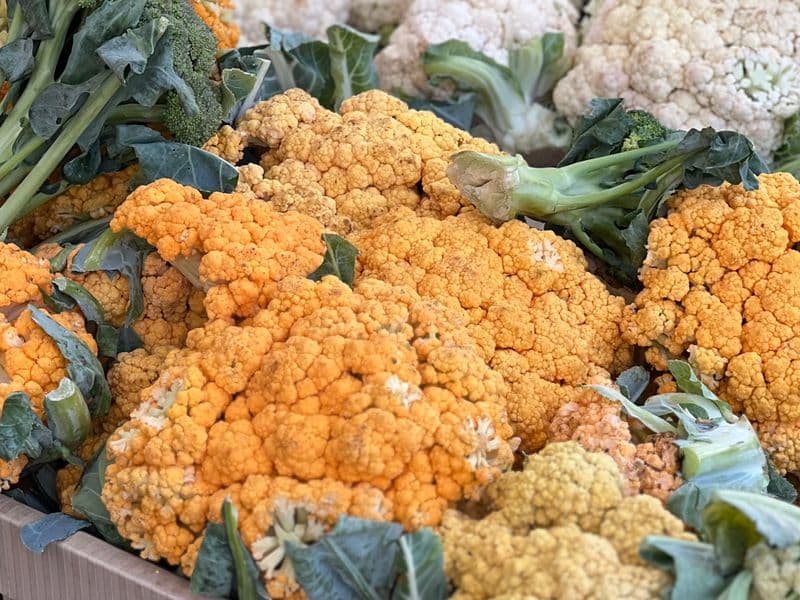 Cauliflower, raw