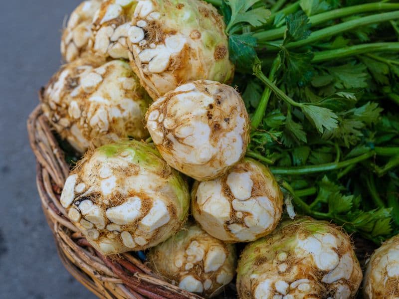 Celeriac, cooked
