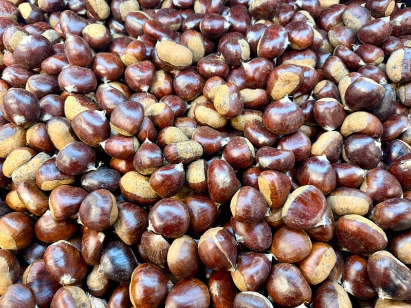 Chestnuts, raw