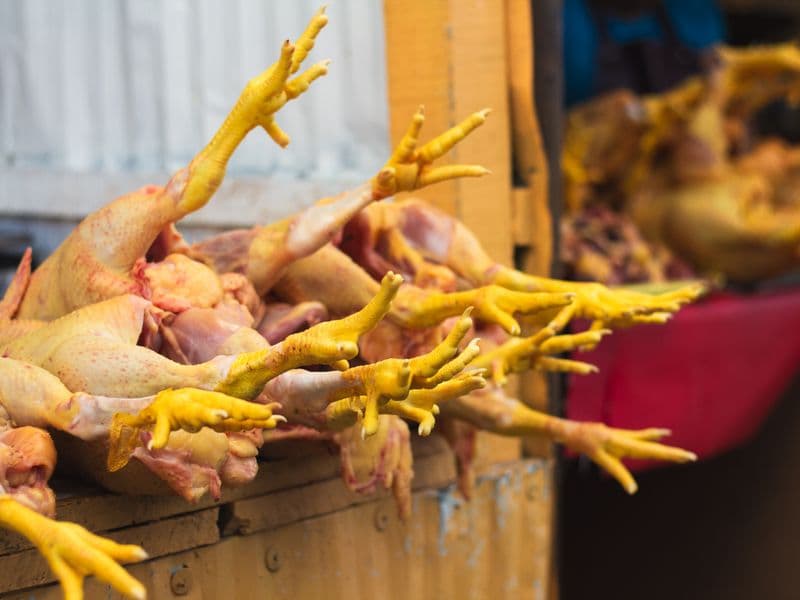 Chicken feet, cooked