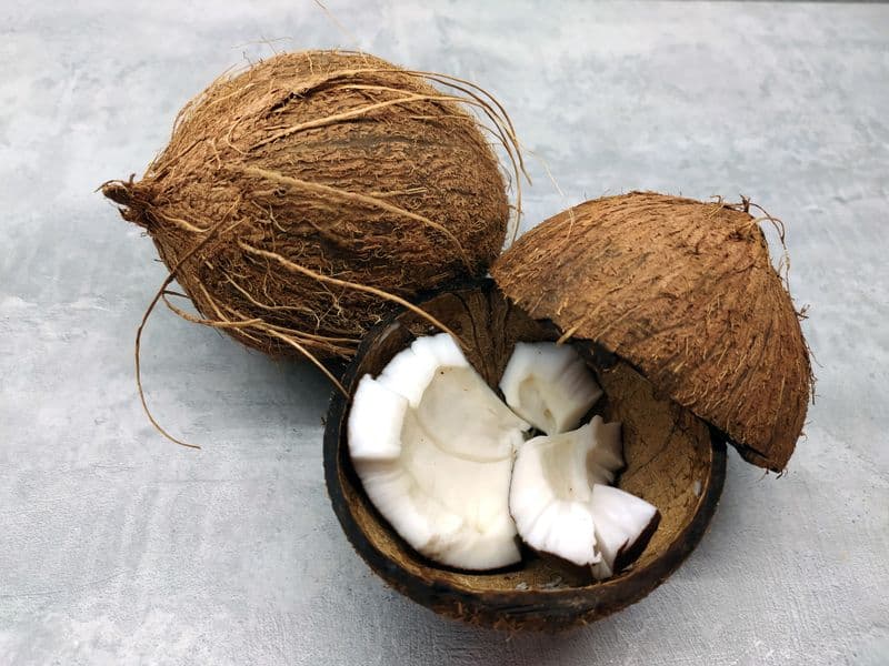 Coconut meat, raw