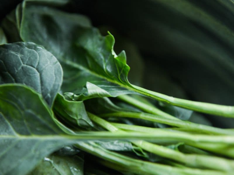 Collard greens, cooked