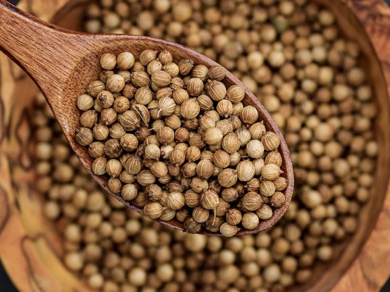 Coriander seed