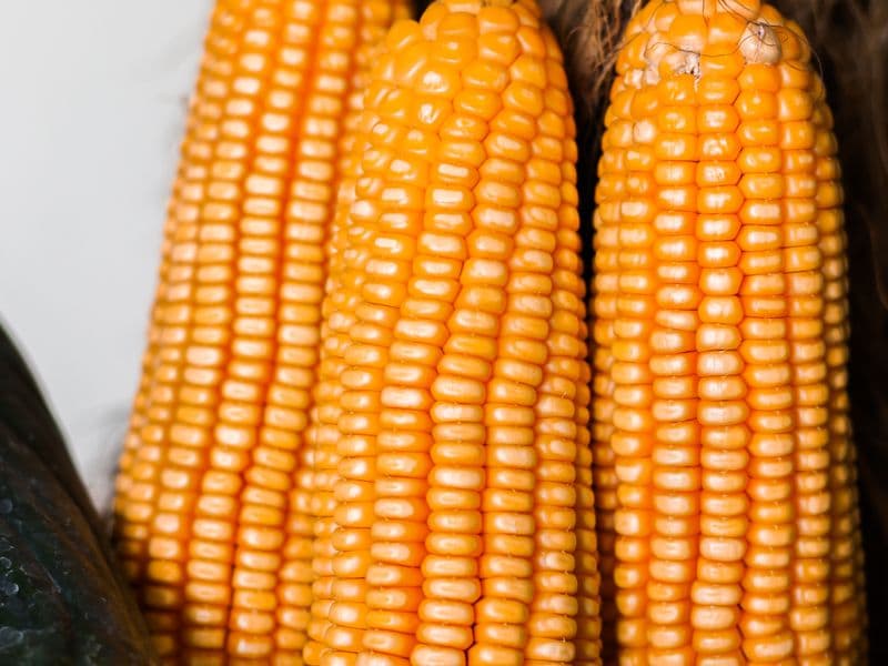 Cornstarch