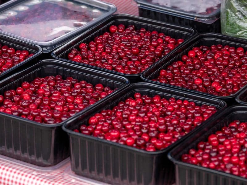 Cranberries, raw