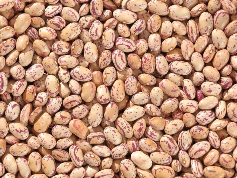 Cranberry beans, canned