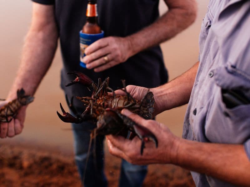 Crayfish, cooked