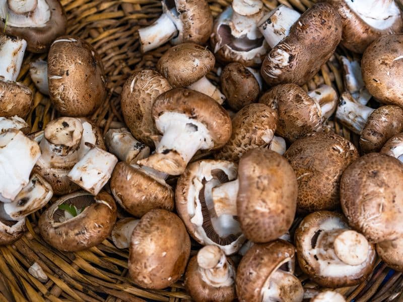 Crimini mushroom, raw
