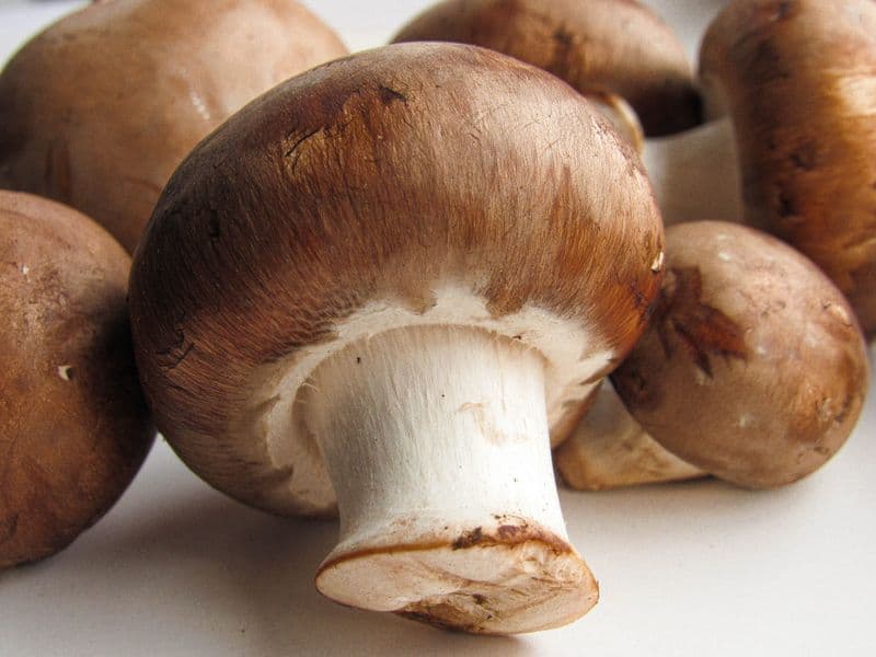 Crimini mushrooms, raw
