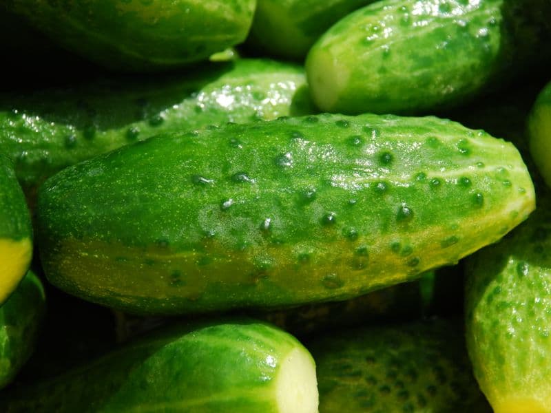 Cucumber, raw