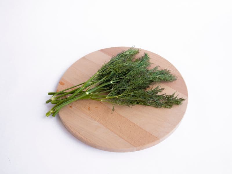 Dill weed, fresh
