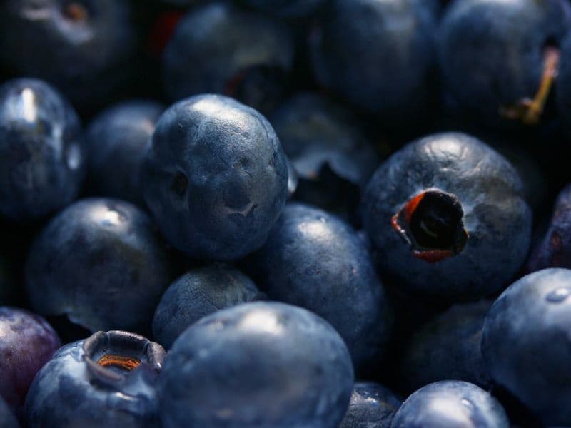 Blueberries, dried