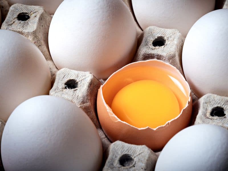 Dried whole egg