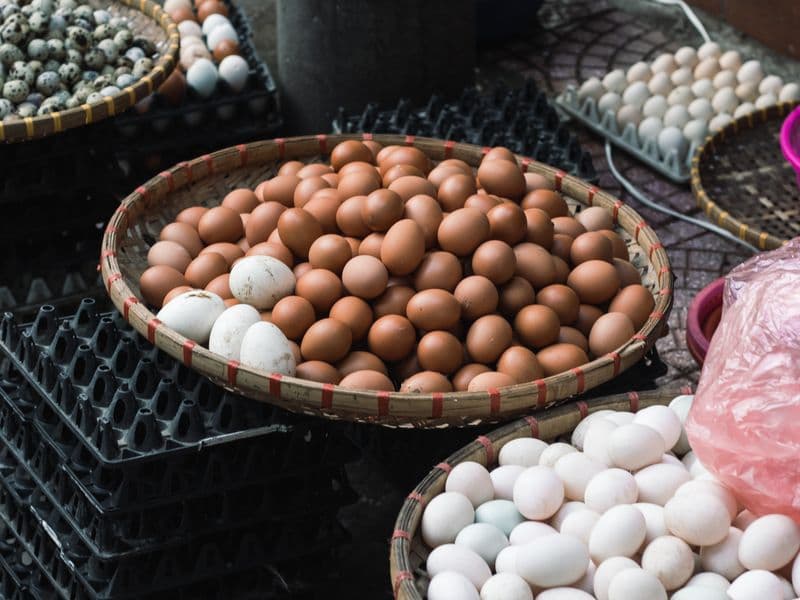 Duck egg, raw