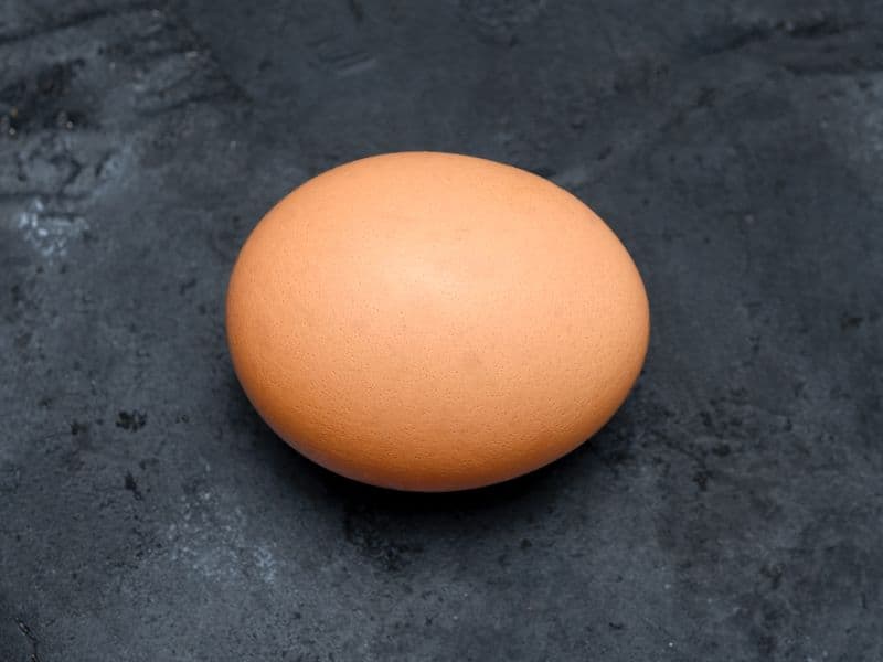 Egg, fried