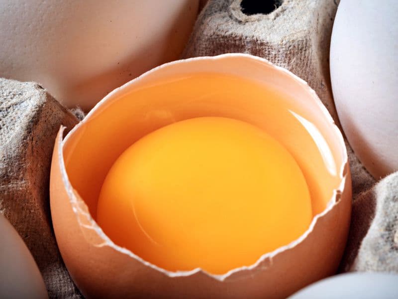 Egg white, raw