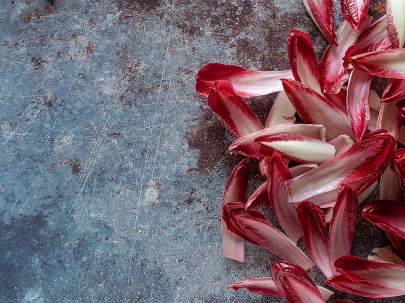 Endive, raw